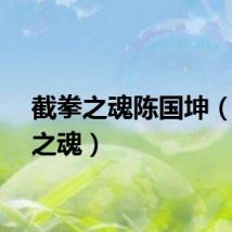 截拳之魂陈国坤（截拳之魂）