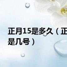 正月15是多久(正月15是几号)