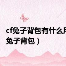 cf兔子背包有什么用（cf兔子背包）