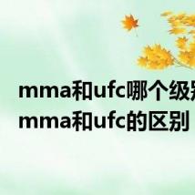mma和ufc哪个级别高(mma和ufc的区别)