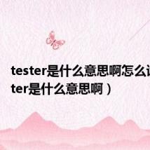 tester是什么意思啊怎么读(tester是什么意思啊)