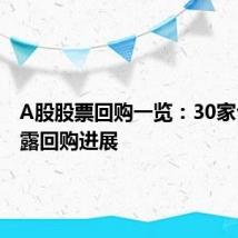 A股股票回购一览:30家公司披露回购进展