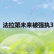 法拉第未来被强执31万