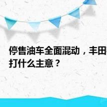 停售油车全面混动,丰田在北美打什么主意?