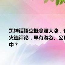 黑神话悟空概念股大涨,各家券商火速评论,早有游资、公募埋伏其中?