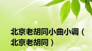 北京老胡同小曲小调（北京老胡同）