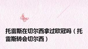 托雷斯在切尔西拿过欧冠吗（托雷斯转会切尔西）