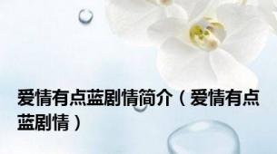 爱情有点蓝剧情简介（爱情有点蓝剧情）