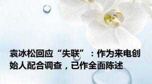 袁冰松回应“失联”：作为来电创始人配合调查，已作全面陈述