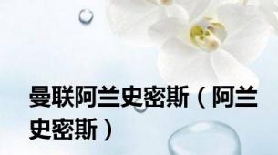 曼联阿兰史密斯（阿兰史密斯）