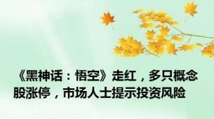 《黑神话：悟空》走红，多只概念股涨停，市场人士提示投资风险