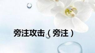 旁注攻击（旁注）