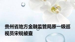 贵州省地方金融监管局原一级巡视员宋锐被查