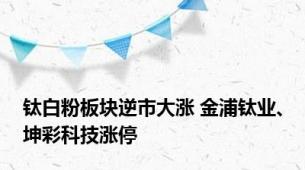 钛白粉板块逆市大涨 金浦钛业、坤彩科技涨停