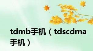 tdmb手机（tdscdma手机）