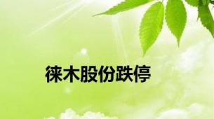 徕木股份跌停