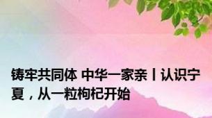 铸牢共同体 中华一家亲丨认识宁夏，从一粒枸杞开始
