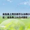 金鱼身上有白霜怎么治用小苏打跟盐（金鱼身上长白点撒盐）