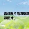 盖聂图片高清壁纸（盖聂图片）
