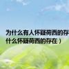 为什么有人怀疑荷西的存在（为什么怀疑荷西的存在）