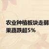 农业种植板块走弱 宏辉果蔬跌超5%