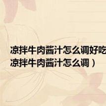 凉拌牛肉酱汁怎么调好吃窍门(凉拌牛肉酱汁怎么调)