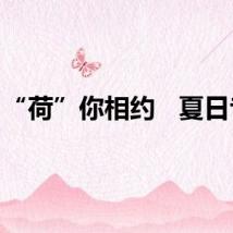 “荷”你相约   夏日专卖