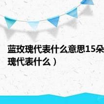 蓝玫瑰代表什么意思15朵(蓝玫瑰代表什么)