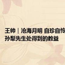 王帅|沧海月明 自珍自怜:我从孙犁先生处得到的教益