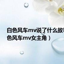 白色风车mv说了什么故事（白色风车mv女主角）