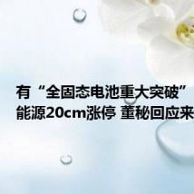 有“全固态电池重大突破”?鹏辉能源20cm涨停 董秘回应来了