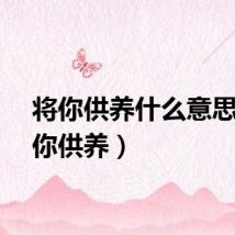 将你供养什么意思（将你供养）