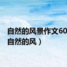 自然的风景作文600字(自然的风)