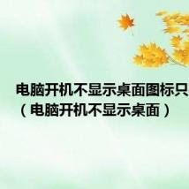 电脑开机不显示桌面图标只有壁纸(电脑开机不显示桌面)