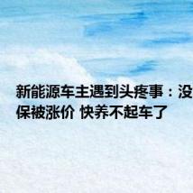 新能源车主遇到头疼事:没出险续保被涨价 快养不起车了