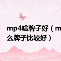 mp4啥牌子好(mp4什么牌子比较好)