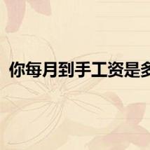 你每月到手工资是多少