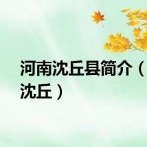河南沈丘县简介（河南沈丘）