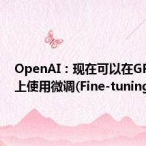 OpenAI:现在可以在GPT-4O上使用微调(Fine-tuning)