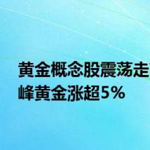 黄金概念股震荡走高 赤峰黄金涨超5%