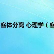 客体分离 心理学（客体）