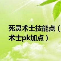 死灵术士技能点(死灵术士pk加点)