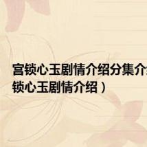 宫锁心玉剧情介绍分集介绍(宫锁心玉剧情介绍)