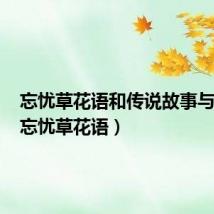 忘忧草花语和传说故事与背景(忘忧草花语)