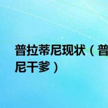 普拉蒂尼现状（普拉蒂尼干爹）