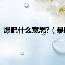 爆吧什么意思?（暴吧）
