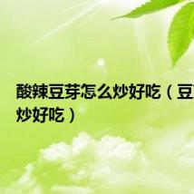 酸辣豆芽怎么炒好吃(豆芽怎么炒好吃)