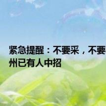 紧急提醒:不要采,不要吃!杭州已有人中招