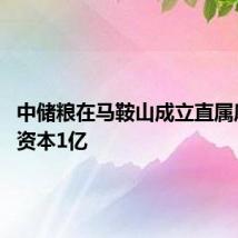中储粮在马鞍山成立直属库 注册资本1亿