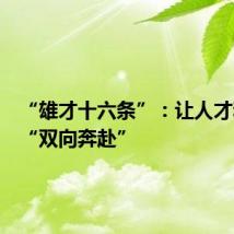 “雄才十六条”:让人才和城市“双向奔赴”